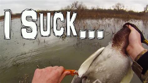 sucking duck|Urban Dictionary: Suck a duck.